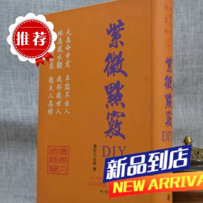 紫微点窍DIY 德安大法师