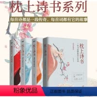 [正版]全套4册 枕上诗书系列彩图珍藏版 一本书读懂 古诗词 遇见 的唐诗宋词诗经中国诗词大会飞花令中华古典浪漫诗词鉴