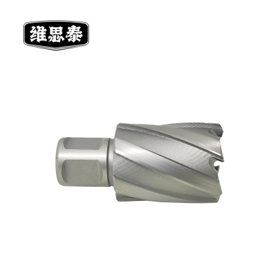 维思泰 空心钻头 高速钢31×25mm 个