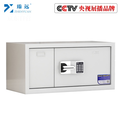 臻远保密柜密码柜档案柜 单节柜国宝