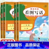 看图写话一年级+二年级上下册4册 小学通用 [正版]2024版 看图写话一二年级上下册人教版 一年级看图写话每日一练二年