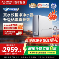 AO史密斯佳尼特[25年新升级]蓝鲸真水效净水器家用厨下式直饮净水机净饮机1000G CR2500AE1 国家补贴