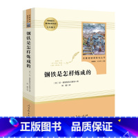 [八年级下册/人教版]钢铁是怎样炼成的 初中通用 [正版]红星照耀中国昆虫记 水浒传艾青诗选 朝花夕拾西游记人民教育出版