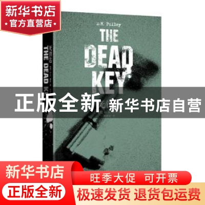 正版 死钥匙 (美)D.M.普利著 上海文艺出版社 9787532163205 书籍