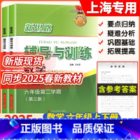 六年级上下册 六年级 [正版]新版 新思路辅导与训练 数学 六年级第一二学期/6年级上下册 第三版上海科学技术新思路