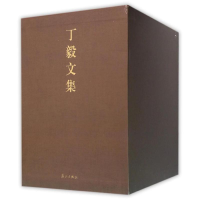 音像丁毅文集(全五卷)/丁毅丁毅