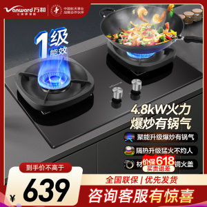 万和(Vanward) 超一级能效 液化气双灶 双眼燃气灶 单灶具 4.8KW火力钢化玻璃 可调底座G6L50