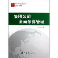 正版新书]集团公司全面预算管理/集团公司财务金融管理丛书方世
