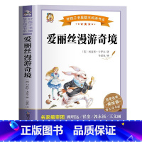 爱丽丝漫游奇境 [正版]爱丽丝漫游奇境 六年级阅读课外书故事书大全儿童故事书藉 快乐读书吧 小学生拓展阅读 名家名译彩图