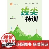 2024年春 小学拔尖特训 数学6年级六年级下·人教版 通城通成学典