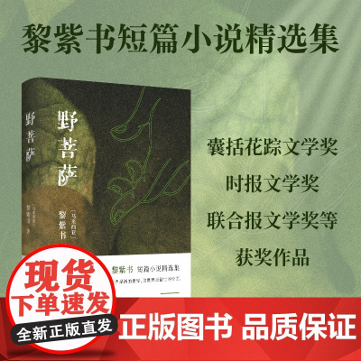 野菩萨(黎紫书短篇小说精选集,特别收入全新短篇《海》,王德威倾力) 黎紫书 北京十月文艺出版社 正版书籍