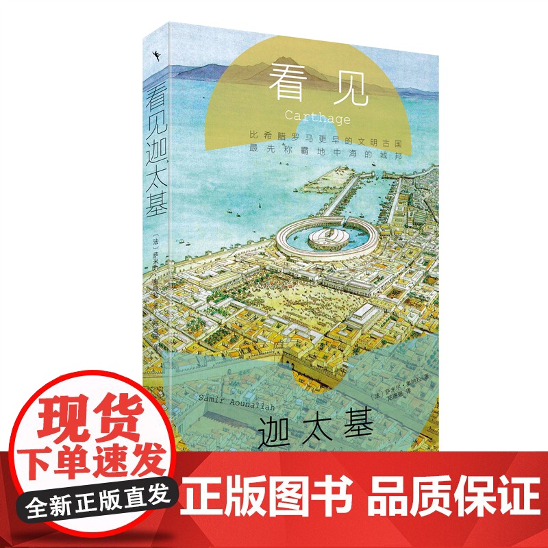看见迦太基 近距离感受地中海风云争霸历史 启笛丛书