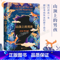 山顶上的男孩 [正版]山顶上的男孩 爱尔兰新锐作家 卡耐基勋章获得者 约翰·伯恩 著 穿条纹睡衣的男孩 姊妹篇