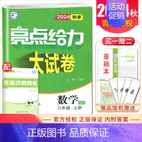 [正版]2024秋亮点给力大试卷数学八年级上册苏科版 8年级上同步初二课时单元练习 初中同步跟踪检测微专题突破分类专项复