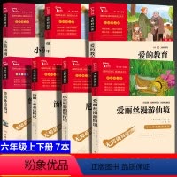 [正版]全7册鲁滨逊漂流记爱丽丝漫游仙奇境汤姆索亚历险记尼尔斯骑鹅旅行记小英雄雨来童年爱的教育原著六年级下册课外阅读书