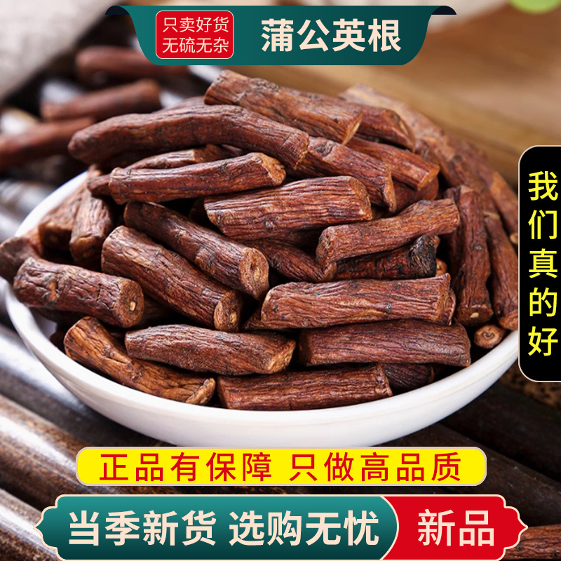 甄选蒲公英根茶100克干货浦公英根干煮水泡茶另售陈皮9260