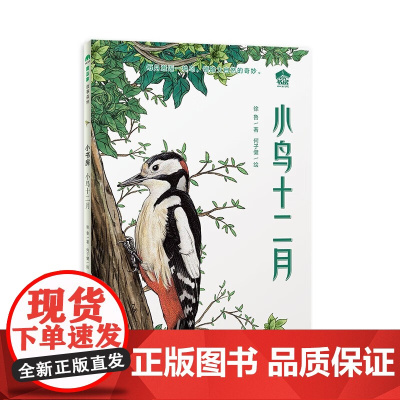 小鸟十二月(魔法象·故事森林·小书房)每月邂逅一种鸟 领略大自然的奇妙 广西师范大学出版社
