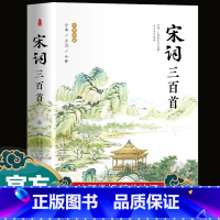 [正版]宋词三百首全集完整版300首 原文注释译文附插图 全解详注中国古诗词鉴赏 传统文化国学启蒙 青少年初中生小学生