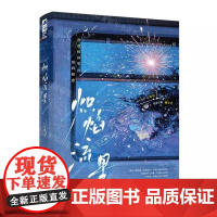 正版 炽焰流星江小绿 江苏凤凰文艺出版社 长沙大鱼媒 书 图书籍双向暗恋 青春校园 娱乐圈 年少成名大明星x温柔学霸翻译