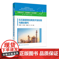 化石能源清洁高效开发利用与耦合替代 双碳目标下多能融合技术图解 石油 天然气及煤炭等化石能源产业链现状 关键技术及发展趋