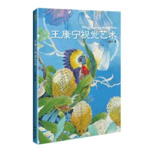 正版新书]王康宁视觉艺术王康宁 著9787514910810