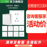 施耐德电气 开关插座 皓朗清雅白色 插座 86型插座面板 家用墙壁式 五孔一开弱电插座 开关 空调插座 带USB电源插座