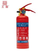 王龍 手提式干粉灭火器 1千克 新国标 具