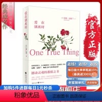 [正版]旧书 《爱在别离时》 (《不曾走过,怎会懂得》安娜.昆德兰著)震撼心灵的救赎之书 毕淑敏、梅丽尔斯特里普 心灵