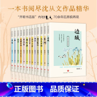 沈从文著作集(全13册) [正版]沈从文著作集 全13册 边城湘行散记长河沈从文自传全集 经典文学随笔散文 初高中生课外