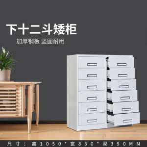 铭威盾钢制铁皮移门12斗24斗文件柜资料柜带锁带抽屉多斗财务柜收纳柜子