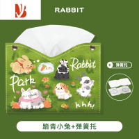 三维工匠踏青兔子纸巾盒家用客厅创意抽纸盒轻奢皮质高级感纸抽盒餐巾厕所 [踏青兔子]皮质抽纸盒+弹簧托