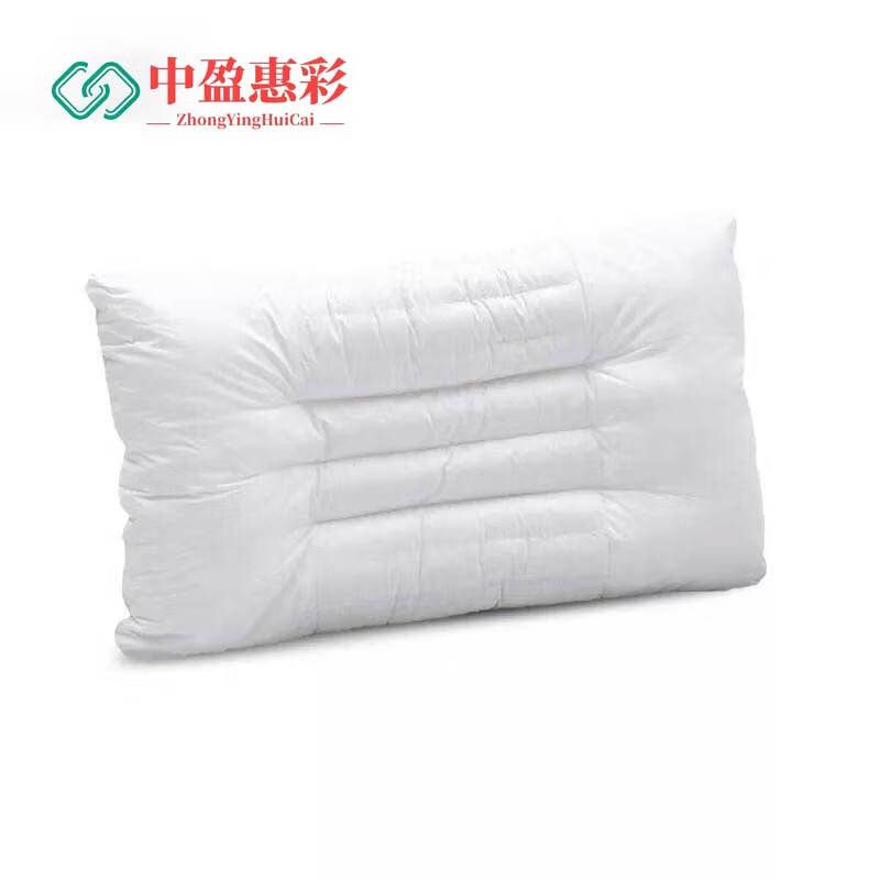 中盈惠彩 荞麦双面定型枕头 QMZTD 40*68cm 1个