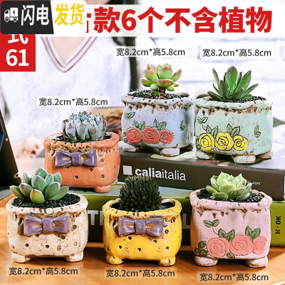 三维工匠多肉花盆植物简约陶瓷盆器套装种多肉个性盆器 套061(6个) 中小花盆容器