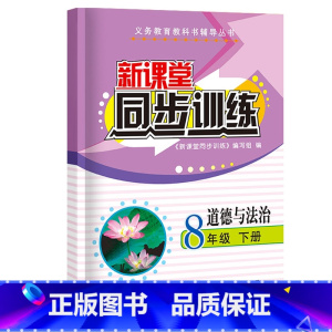 道德与法治 八年级/初中二年级 [正版]2023新课堂同步训练语文数学英语政治地理生物理八年级下册课堂辅