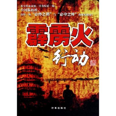 正版新书]霹雳火行动王海9787802324084