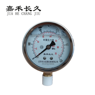 嘉禾长久 耐震压力表检测型 YTN60 0-0.25Mpa 块