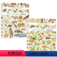 给孩子的自然图鉴(套装2册) [正版]7-10岁给孩子的自然图鉴 套装2册 呈现700多种动植物的生命形态幼儿儿童科普读