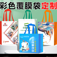 无纺布手提袋环保袋定制logo广告宣传购物袋定做 30*38*10 竖款中号 无纺布 单色印刷