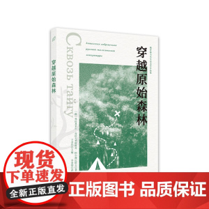 穿越原始森林