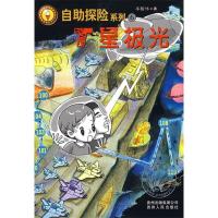 正版新书]T星极光李国伟9787221081742