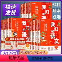 同步阅读+同步写作 一年级上 [正版]我们的语文社给孩子的阅读写作指导书2023秋季新版提升阅读力小学初中高中语文阅读技