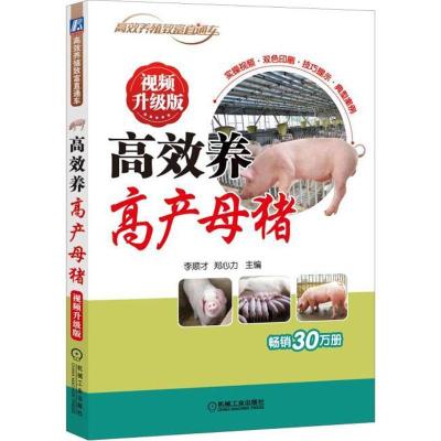 正版新书]高效养高产母猪 视频升级版编者:李顺才//郑心力 著 李