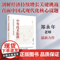 中等技术陷阱:经济持续增长的关键挑战 正版 深度剖析经济增长中的技术瓶颈难题 解读中等技术陷阱形成机制与突破路径
