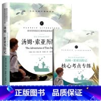 汤姆·索亚历险记 [正版]中小学课外阅读1-2-3三4四5五6六年级上下册必读快乐读书吧书籍四大名著稻草人安徒生格林童话