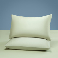 纯色莱赛尔天丝枕套一对2025夏季凉感枕头套48x74家用单人枕芯套