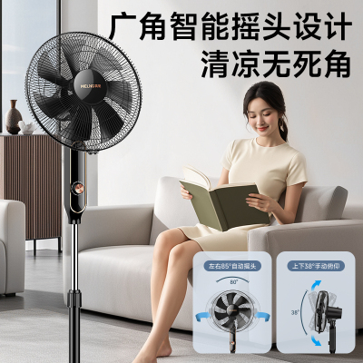 美菱(MeiLing) 电风扇家用摇头落地扇节能电扇宿舍办公室客厅大风量循环扇