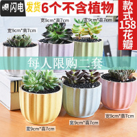 三维工匠多肉花盆植物简约陶瓷盆器套装种多肉个性盆器 套158花瓣(6个) 中小花盆容器