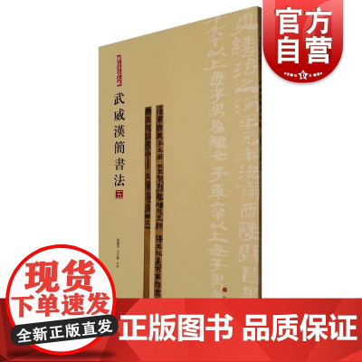 武威汉简书法五 简帛书法大系上海书画出版社