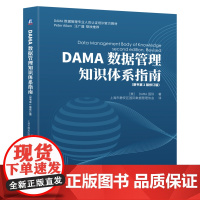 DAMA数据管理知识体系指南(原书第2版修订版) DAMA国际 数据管理 数据治理 数据安全 9787111