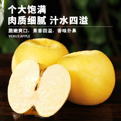 [熊猫鸟]新鲜维纳斯苹果 泡沫箱 净重4.5斤 中果 单果75-80mm 脆甜可口